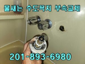물새는-수도꼭지-수리-플러밍-사진 뉴저지 지역 플러머 작업